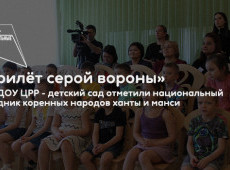 «Прилёт серой вороны»
