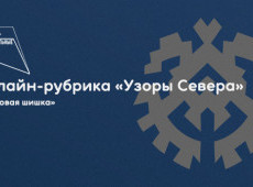 Онлайн-рубрика «Узоры Севера»