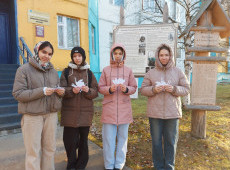 Акция «День белых журавлей» (0+)